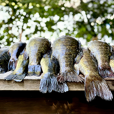 Chuck's Fish